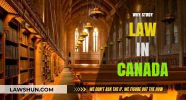 Study Law in Canada: Global Career Opportunities