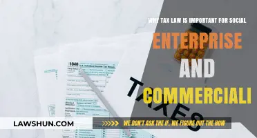 Tax Law: Social Enterprise's Commercialization Compass