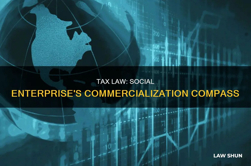 why tax law is important for social enterprise and commercialization