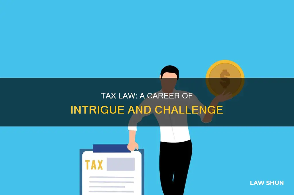 why tax law is the best