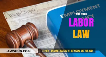 Empowering Workers: The Essential Role of Teaching Labor Law