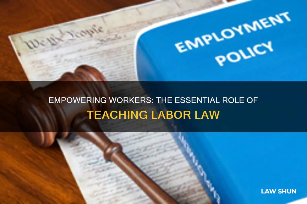 why teach labor law