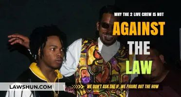 Understanding the Legalities: 2 Live Crew's Controversial Lyrics Examined