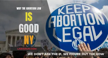 Abortion Law: New York's Progressive Step Forward