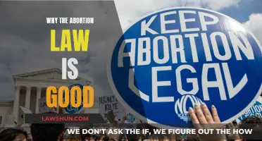 The Abortion Law: A Step Forward for Society