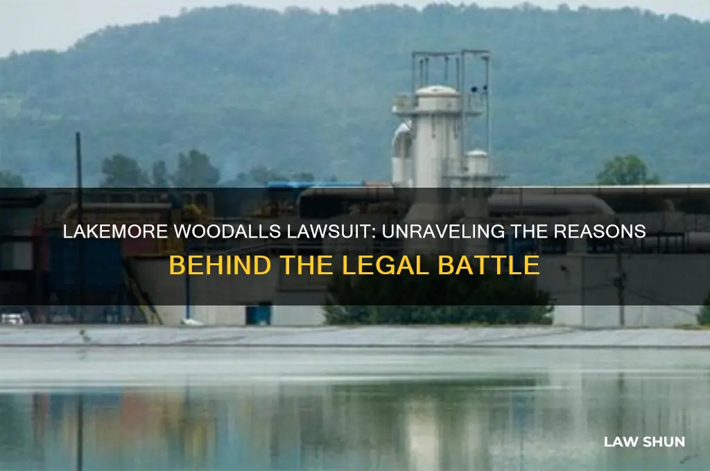 why the lakemore woodalls law suit