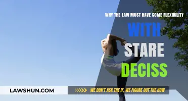 Judicial Flexibility: Balancing Stare Decisis with Evolving Legal Needs