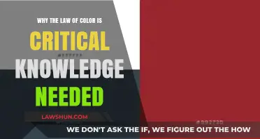 Mastering Color Law: Essential Insights for Design and Legal Success
