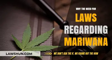 Why Legal Frameworks for Marijuana Are Essential in Modern Society