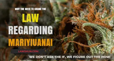 Reforming Marijuana Laws: Why Change is Necessary for Society's Progress