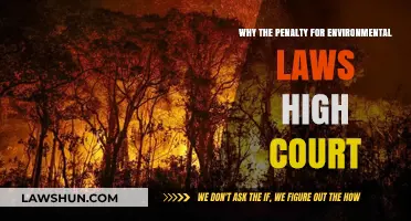 High Court's Steep Penalties for Environmental Law Violations: Why?