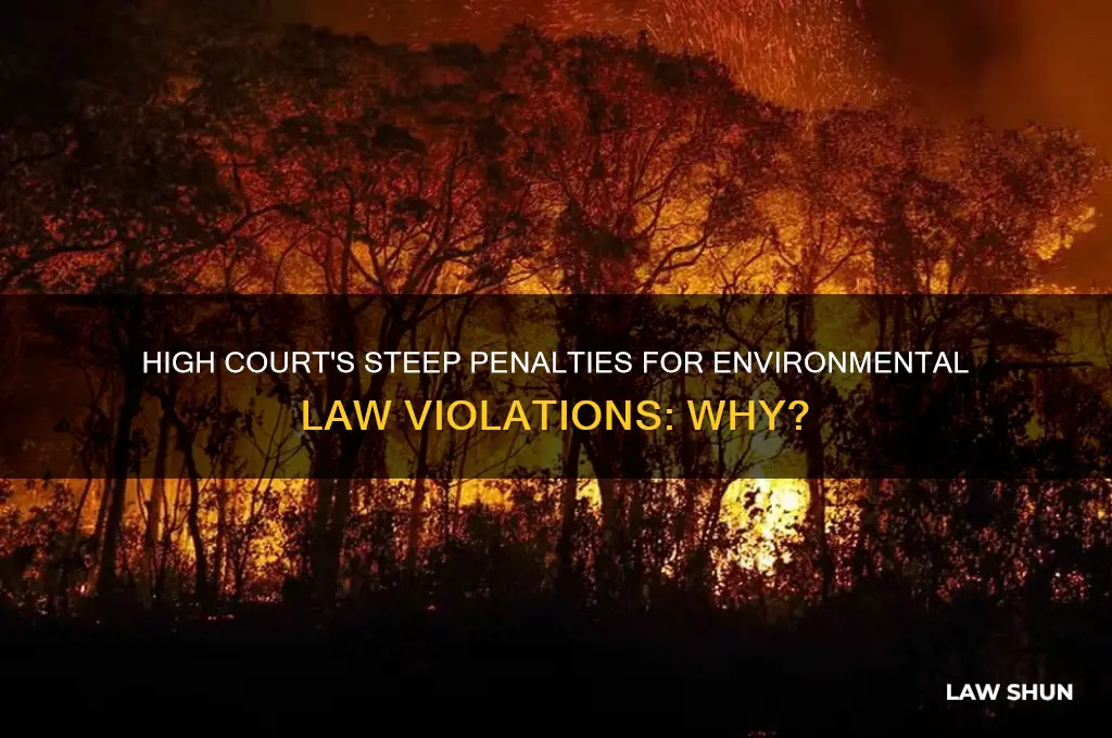 why the penalty for environmental laws high court