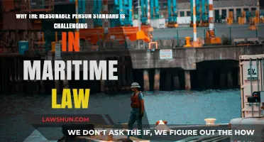 Navigating Complexity: The Reasonable Person Standard in Maritime Law