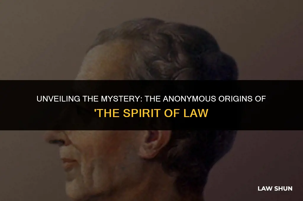why the spirit of law originally published anonymously in 1748
