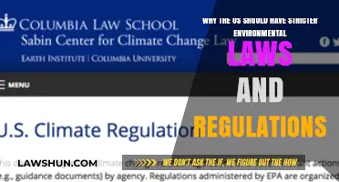 Towards a Greener Future: The Case for Stricter US Environmental Laws