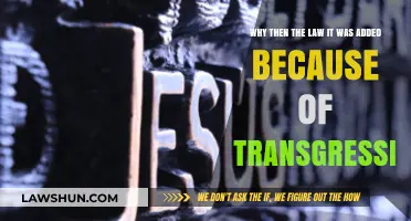 Understanding the Purpose of Law: A Response to Transgressions