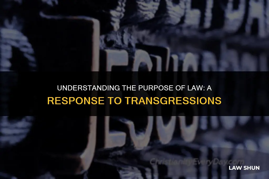 why then the law it was added because of transgressions