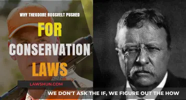 Theodore Roosevelt's Legacy: Championing Conservation Laws for America's Future