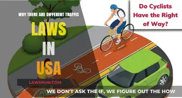 Traffic Laws in the USA: Why So Different?