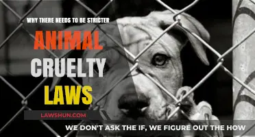 Strengthening Animal Cruelty Laws: Protecting Innocent Lives and Ensuring Justice