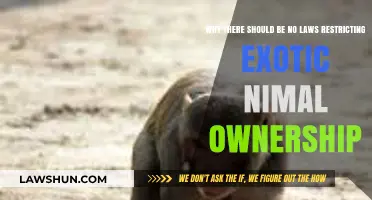 Embracing the Wild: The Case for Unrestricted Exotic Animal Ownership