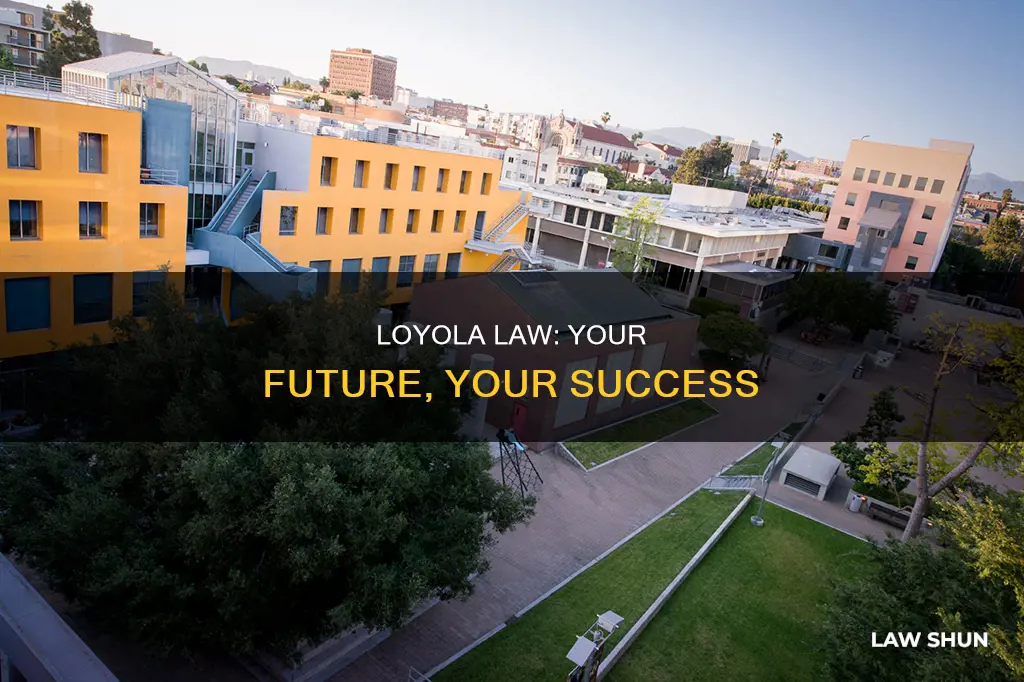 why to apply loyola law