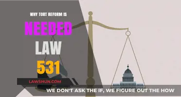 Tort Reform: Addressing Legal Inefficiencies in Law 531 for Fair Justice
