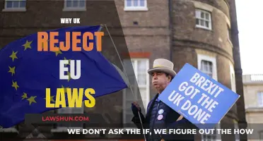 Britain's Rejection of EU Laws: Why?