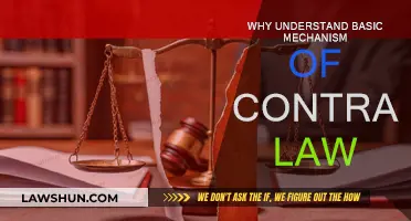 Contract Law Basics: Understanding the Fundamentals