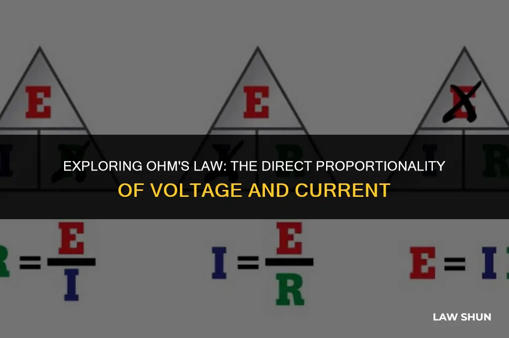 why v is directly proportional to i in ohm
