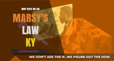 Protecting Kentucky's Justice System: Why Voting No on Marsy's Law Matters