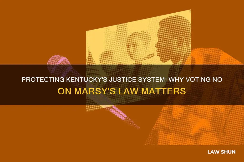 why vote no on marsy