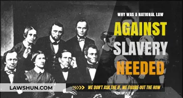 The Imperative for a National Anti-Slavery Law: Why It Was Needed