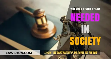 The Essential Role of Legal Systems in Shaping Civilized Societies