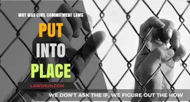 Understanding the Origins and Purpose of Civil Commitment Laws
