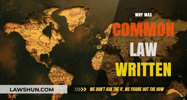 The Evolution of Common Law: Why It Was Written