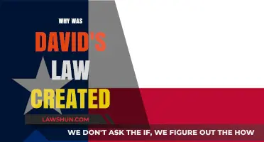 David's Law: Protecting Minors Online