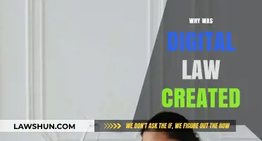 The Evolution of Digital Law: Why It's Necessary