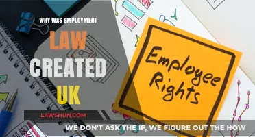 UK Employment Law: Protecting Workers' Rights