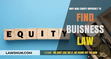 Navigating Legal Complexities: Why Equity Remains Elusive in Business Law
