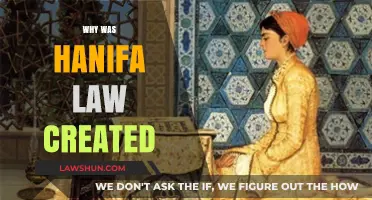 The Hanifa Law: Protecting Women's Rights in Islam