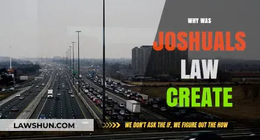Joshua's Law: Reducing Teen Driving Fatalities