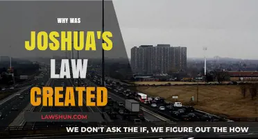 Joshua's Law: Protecting Teen Drivers in Georgia