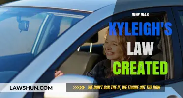 Kyleigh's Law: A Legacy of Road Safety