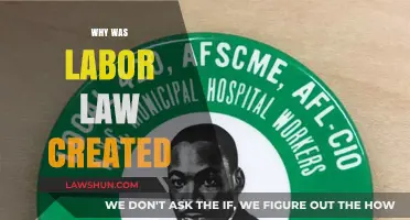 The Evolution of Labor Laws: Protecting Worker's Rights