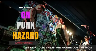 Decoding the Legal Response to Punk's Rebellious Spirit
