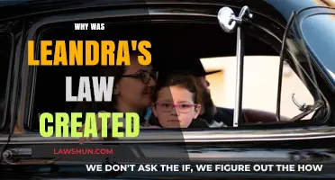 Leandra's Law: Protecting Children from Drunk Driving