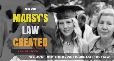 Marsy's Law: Victims' Rights and Justice
