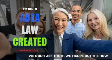 Aging Workforce: ADEA Law Explained