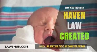 Child Haven Law: Protecting Children, Saving Lives